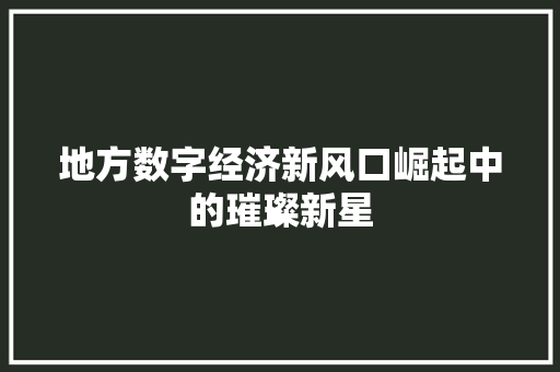 地方数字经济新风口崛起中的璀璨新星 地方数字经济新风口崛起中的璀璨新星
