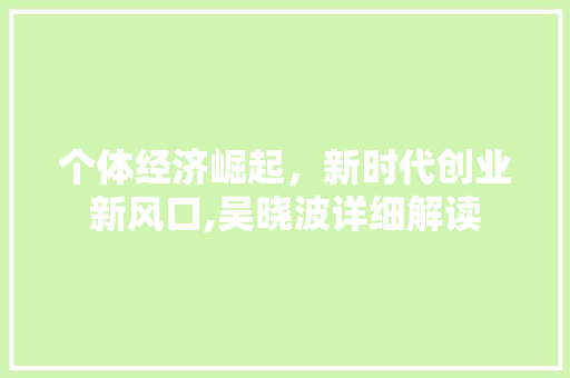 个体经济崛起,新时代创业新风口,吴晓波详细解读 个体经济崛起,新时代创业新风口,吴晓波详细解读