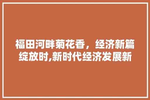 福田河畔菊花香,经济新篇绽放时,新时代经济发展新篇章 福田河畔菊花香,经济新篇绽放时,新时代经济发展新篇章