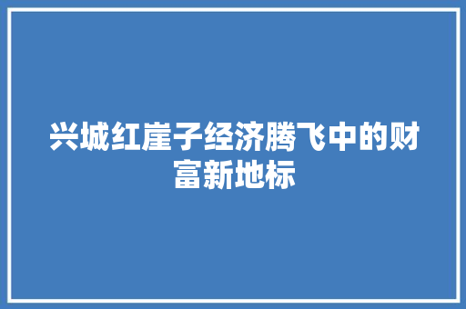 兴城红崖子经济腾飞中的财富新地标 兴城红崖子经济腾飞中的财富新地标
