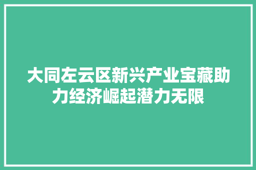 大同左云区新兴产业宝藏助力经济崛起潜力无限 大同左云区新兴产业宝藏助力经济崛起潜力无限