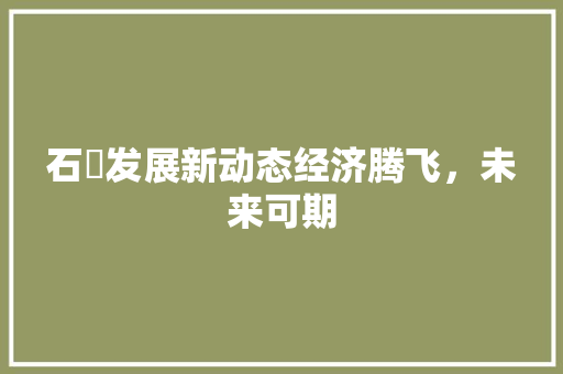 石碁发展新动态经济腾飞,未来可期 石碁发展新动态经济腾飞,未来可期
