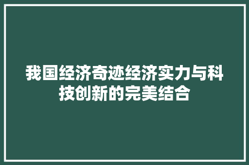 我国经济奇迹经济实力与科技创新的完美结合 我国经济奇迹经济实力与科技创新的完美结合
