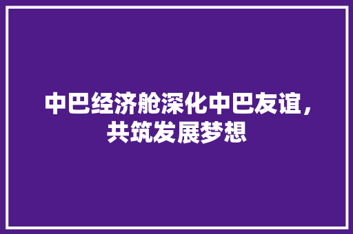 中巴经济舱深化中巴友谊,共筑发展梦想 中巴经济舱深化中巴友谊,共筑发展梦想