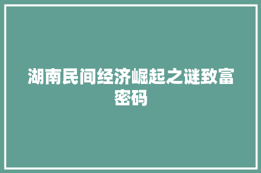 湖南民间经济崛起之谜致富密码 湖南民间经济崛起之谜致富密码