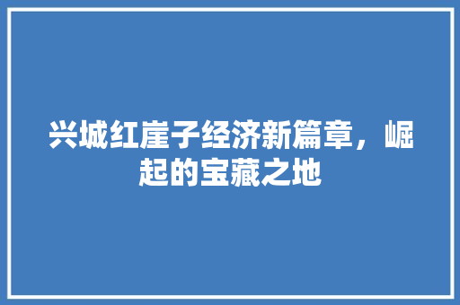 兴城红崖子经济新篇章,崛起的宝藏之地 兴城红崖子经济新篇章,崛起的宝藏之地