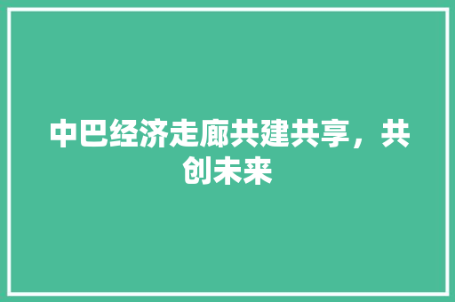 中巴经济走廊共建共享,共创未来 中巴经济走廊共建共享,共创未来
