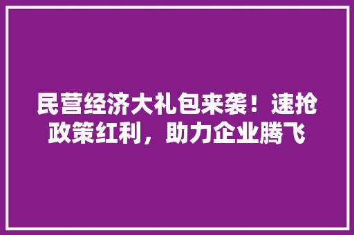 民营经济大礼包来袭！速抢政策红利，助力企业腾飞