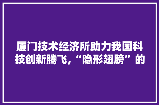 厦门技术经济所助力我国科技创新腾飞,“隐形翅膀”的力量 厦门技术经济所助力我国科技创新腾飞,“隐形翅膀”的力量