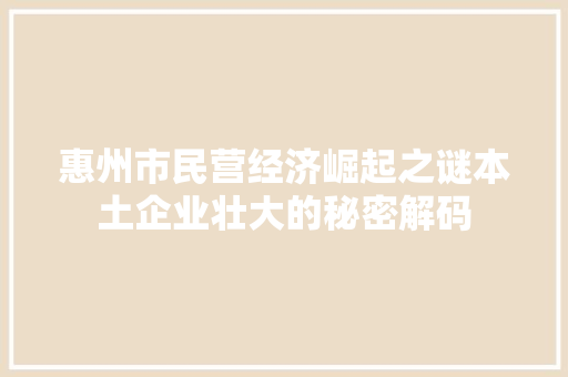 惠州市民营经济崛起之谜本土企业壮大的秘密解码 惠州市民营经济崛起之谜本土企业壮大的秘密解码
