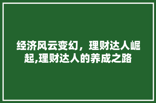 经济风云变幻，理财达人崛起,理财达人的养成之路