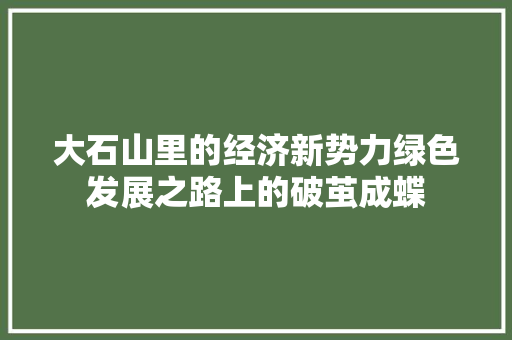 大石山里的经济新势力绿色发展之路上的破茧成蝶 大石山里的经济新势力绿色发展之路上的破茧成蝶