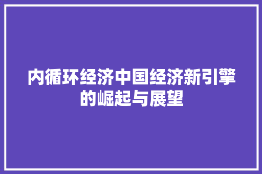 内循环经济中国经济新引擎的崛起与展望 内循环经济中国经济新引擎的崛起与展望