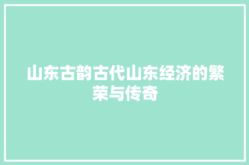 山东古韵古代山东经济的繁荣与传奇 山东古韵古代山东经济的繁荣与传奇