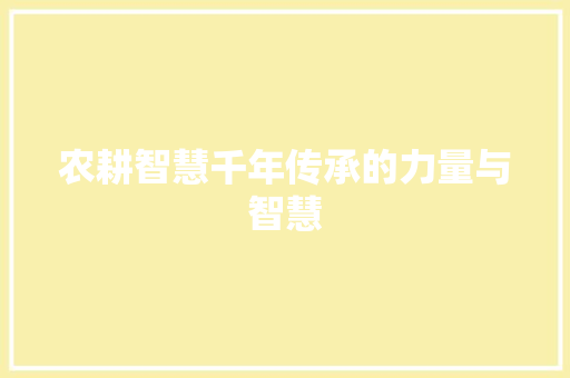 农耕智慧千年传承的力量与智慧 农耕智慧千年传承的力量与智慧