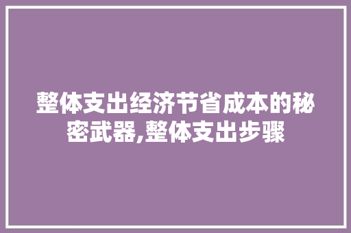 整体支出经济节省成本的秘密武器,整体支出步骤 整体支出经济节省成本的秘密武器,整体支出步骤