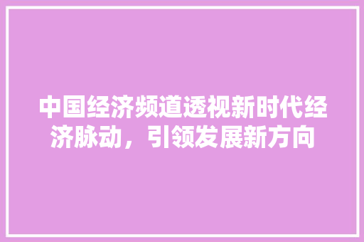 中国经济频道透视新时代经济脉动,引领发展新方向 中国经济频道透视新时代经济脉动,引领发展新方向