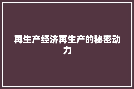 再生产经济再生产的秘密动力 再生产经济再生产的秘密动力
