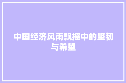 中国经济风雨飘摇中的坚韧与希望 中国经济风雨飘摇中的坚韧与希望