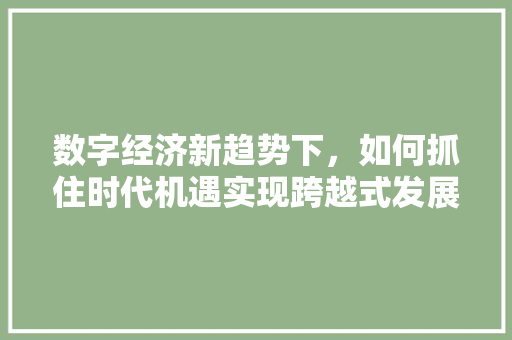 数字经济新趋势下,如何抓住时代机遇实现跨越式发展 数字经济新趋势下,如何抓住时代机遇实现跨越式发展
