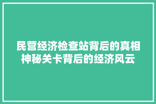 民营经济检查站背后的真相神秘关卡背后的经济风云