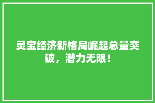灵宝经济新格局崛起总量突破,潜力无限! 灵宝经济新格局崛起总量突破,潜力无限!