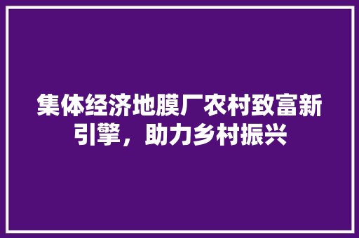 集体经济地膜厂农村致富新引擎,助力乡村振兴 集体经济地膜厂农村致富新引擎,助力乡村振兴