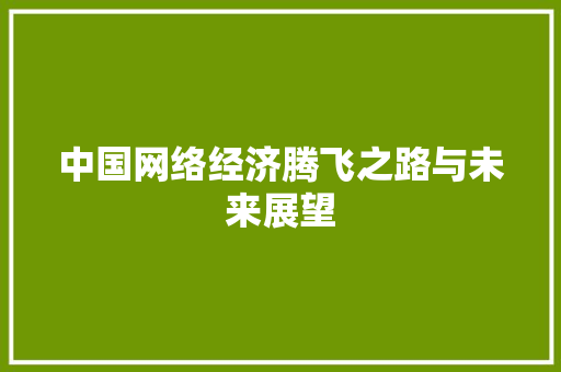 中国网络经济腾飞之路与未来展望 中国网络经济腾飞之路与未来展望