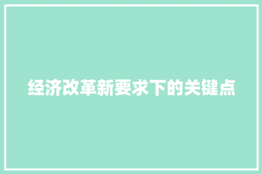 经济改革新要求下的关键点