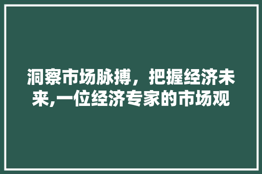 洞察市场脉搏,把握经济未来,一位经济专家的市场观察 洞察市场脉搏,把握经济未来,一位经济专家的市场观察
