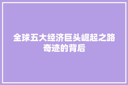 全球五大经济巨头崛起之路奇迹的背后 全球五大经济巨头崛起之路奇迹的背后