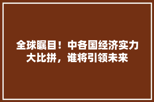 全球瞩目！中各国经济实力大比拼，谁将引领未来