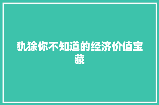 犰狳你不知道的经济价值宝藏
