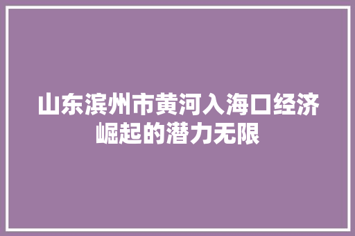 山东滨州市黄河入海口经济崛起的潜力无限 山东滨州市黄河入海口经济崛起的潜力无限