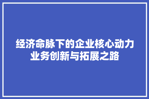 经济命脉下的企业核心动力业务创新与拓展之路 经济命脉下的企业核心动力业务创新与拓展之路