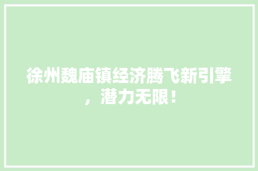 徐州魏庙镇经济腾飞新引擎,潜力无限! 徐州魏庙镇经济腾飞新引擎,潜力无限!