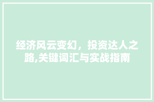 经济风云变幻,投资达人之路,关键词汇与实战指南 经济风云变幻,投资达人之路,关键词汇与实战指南