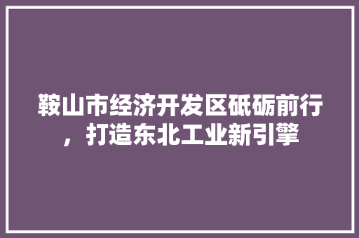鞍山市经济开发区砥砺前行,打造东北工业新引擎 鞍山市经济开发区砥砺前行,打造东北工业新引擎
