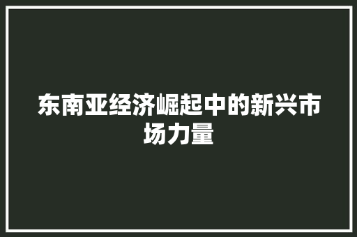 东南亚经济崛起中的新兴市场力量 东南亚经济崛起中的新兴市场力量