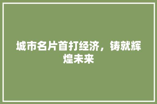 城市名片首打经济,铸就辉煌未来 城市名片首打经济,铸就辉煌未来