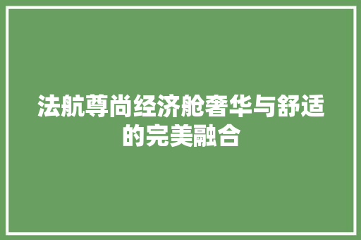 法航尊尚经济舱奢华与舒适的完美融合 法航尊尚经济舱奢华与舒适的完美融合