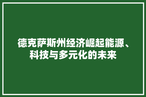 德克萨斯州经济崛起能源、科技与多元化的未来 德克萨斯州经济崛起能源、科技与多元化的未来