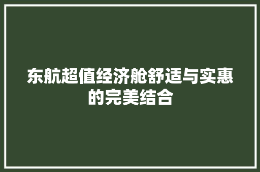 东航超值经济舱舒适与实惠的完美结合 东航超值经济舱舒适与实惠的完美结合