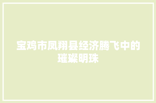 宝鸡市凤翔县经济腾飞中的璀璨明珠