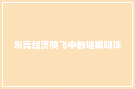 东莞经济腾飞中的璀璨明珠 东莞经济腾飞中的璀璨明珠