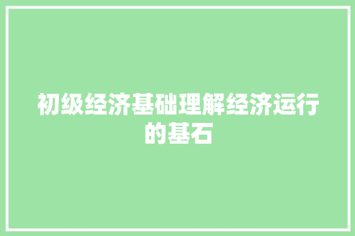 初级经济基础理解经济运行的基石 初级经济基础理解经济运行的基石