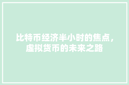 比特币经济半小时的焦点,虚拟货币的未来之路 比特币经济半小时的焦点,虚拟货币的未来之路