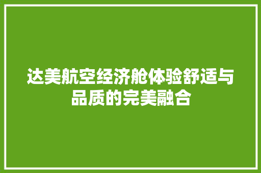达美航空经济舱体验舒适与品质的完美融合 达美航空经济舱体验舒适与品质的完美融合