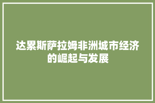 达累斯萨拉姆非洲城市经济的崛起与发展 达累斯萨拉姆非洲城市经济的崛起与发展