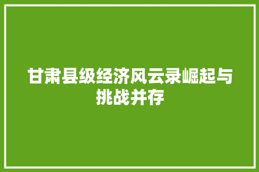 甘肃县级经济风云录崛起与挑战并存 甘肃县级经济风云录崛起与挑战并存